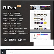 带美化包的RiPro 4.6版资源下载模板 WordPress主题模板 官方售价400元